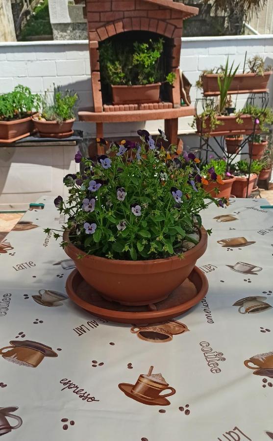 Apartment Mira Baška Εξωτερικό φωτογραφία